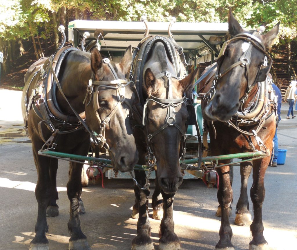horse tram mackinac state park