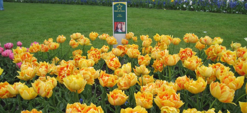 keukenhof tulips5