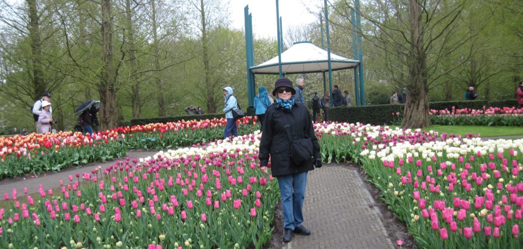 keukenhof tulips7