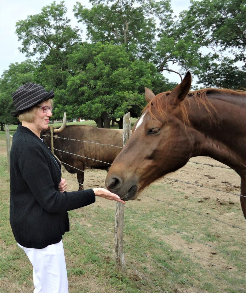 LBJ ranch horse