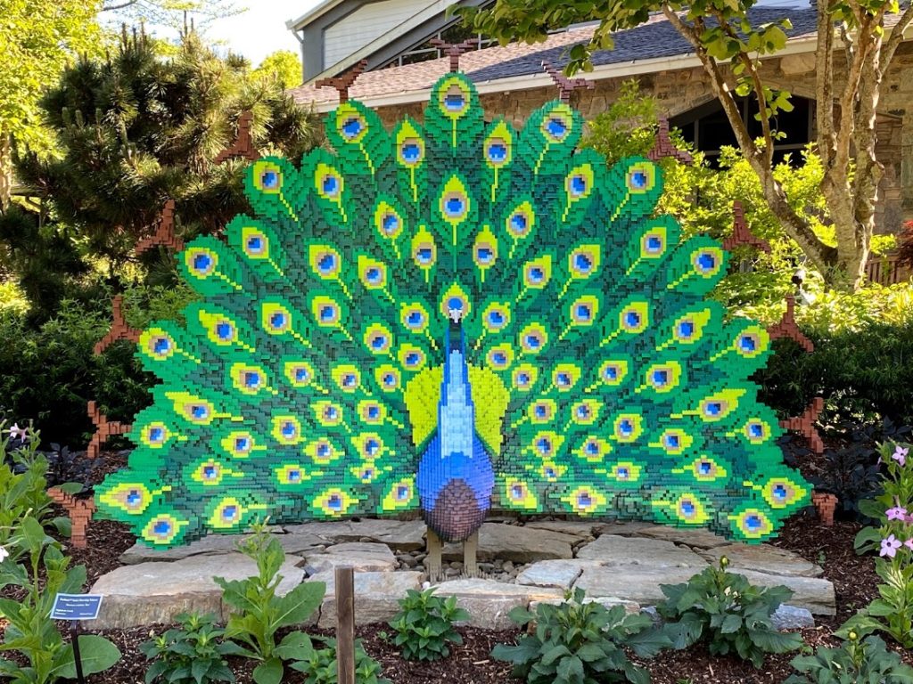 peacock lego art