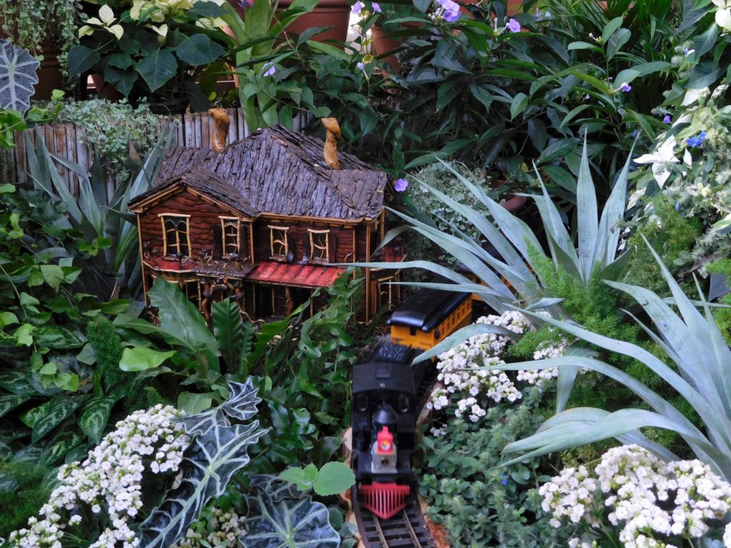 Greenhouse at Biltmore Estate