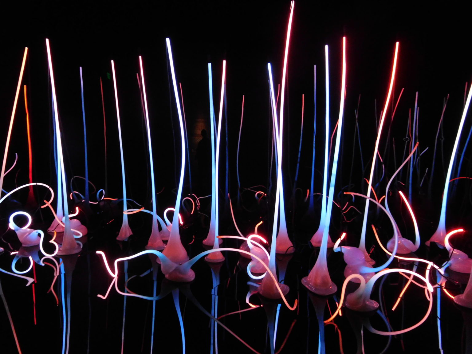 Chihuly - Amazing Glass Art You Will Never Forget