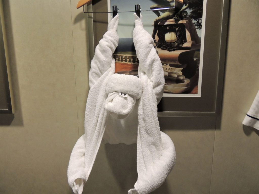 towel animal 3 cruising