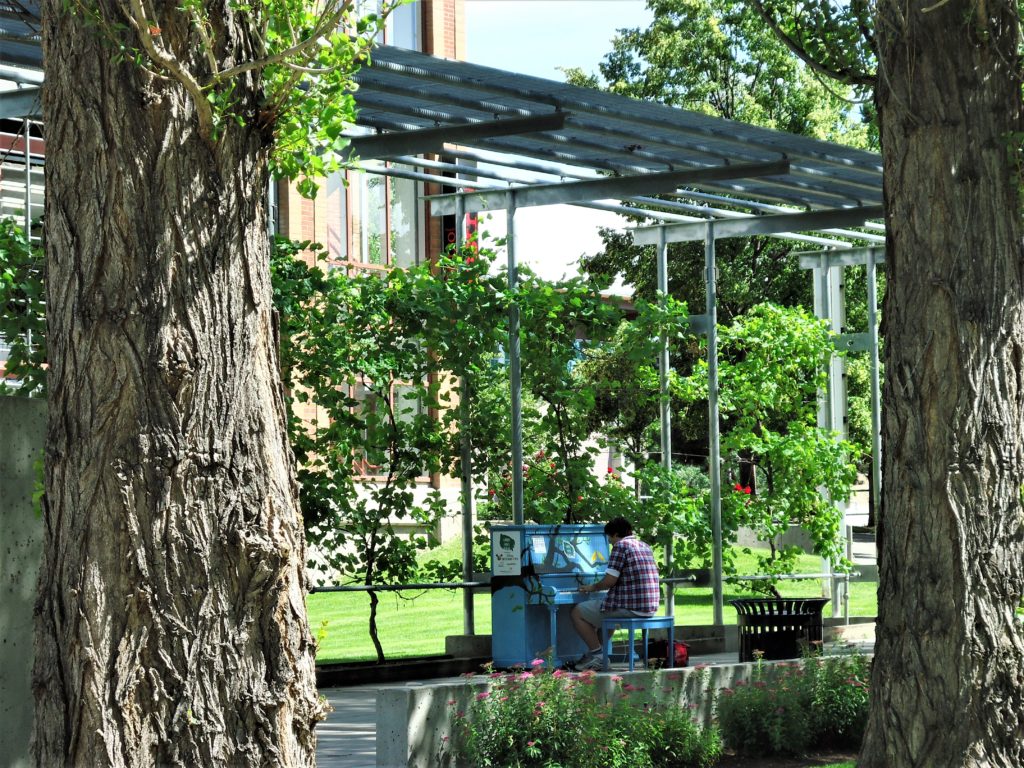 man playing a piano in park, kelowna bc