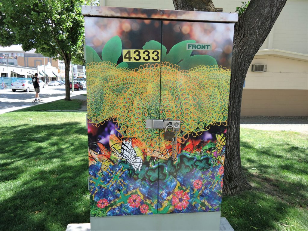 painted utility box, kelowna bc