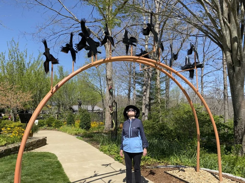 A Flock of Blackbirds, NC Aboretum
