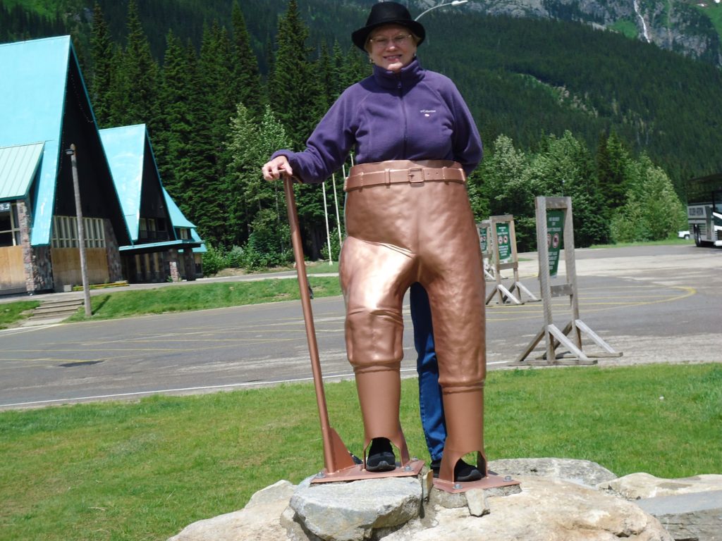 rogers pass, discovery center