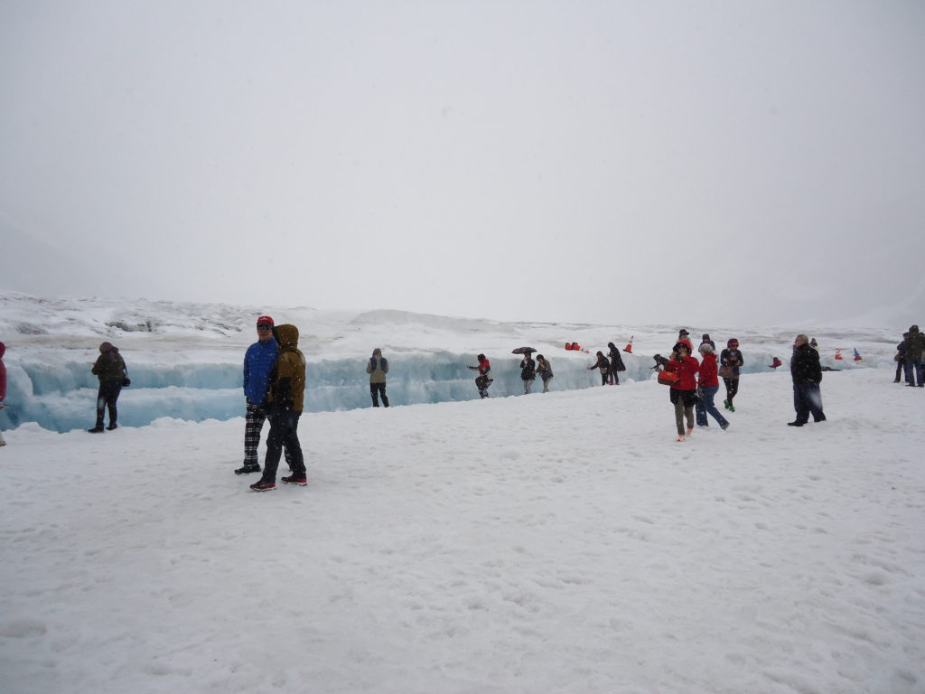 tourists on ice field